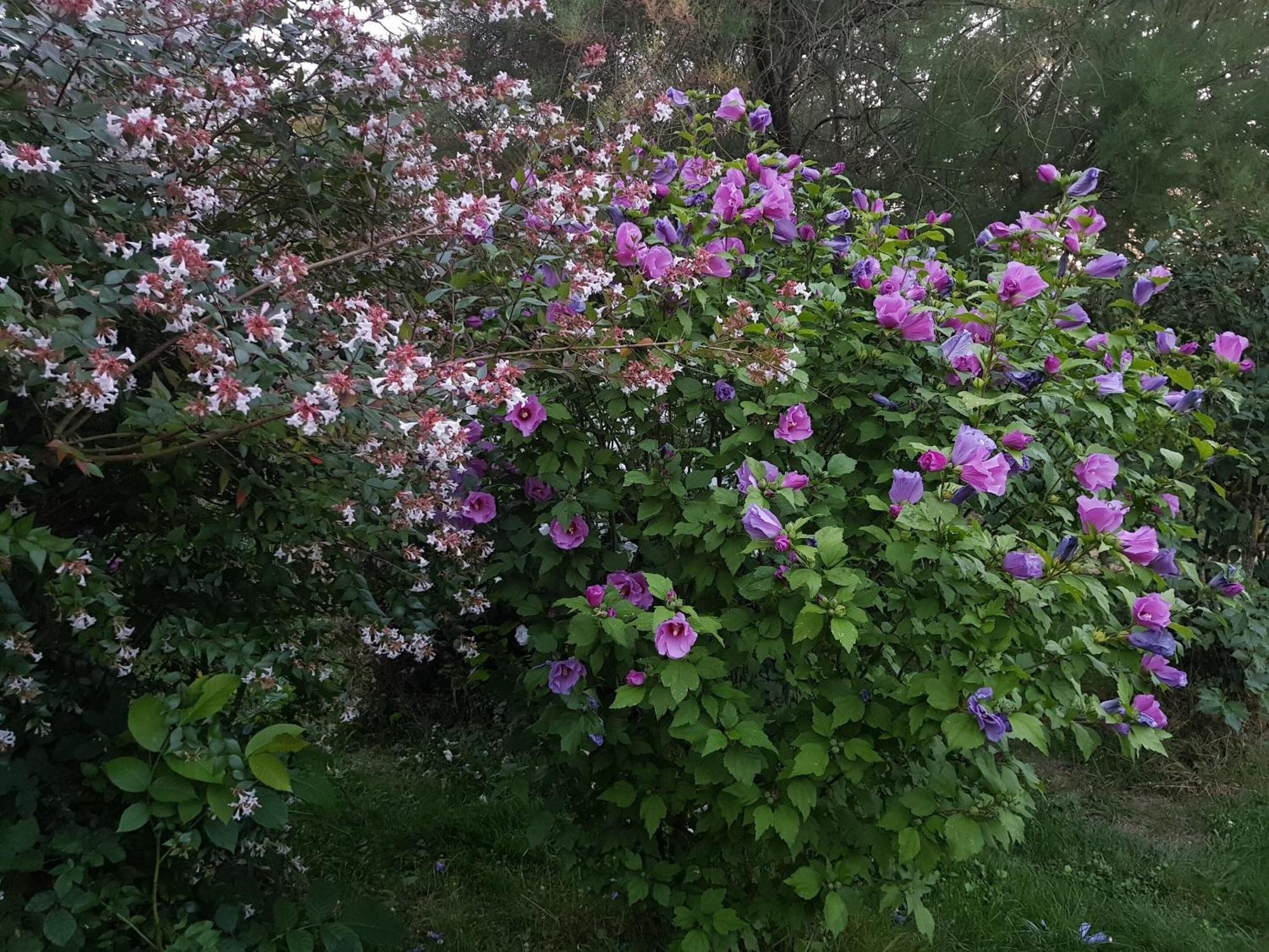 La Berceenne Jupilles Eksteriør billede